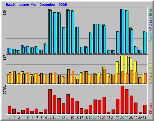 Daily usage for December 2020