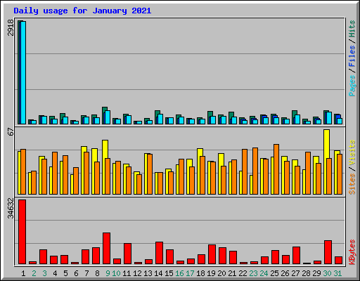 Daily usage for January 2021