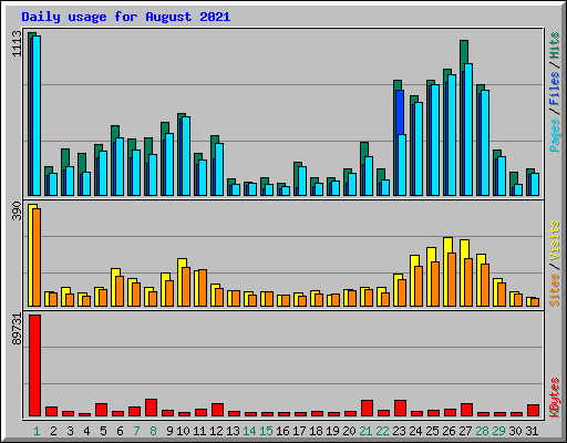 Daily usage for August 2021
