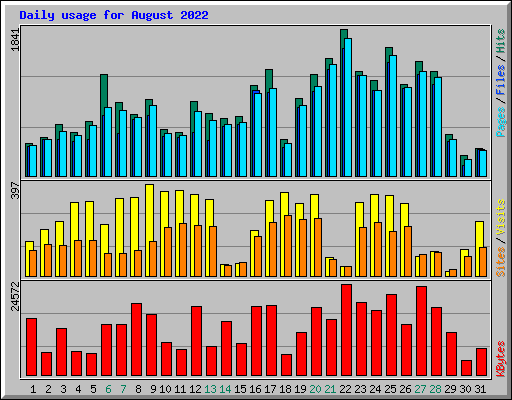 Daily usage for August 2022