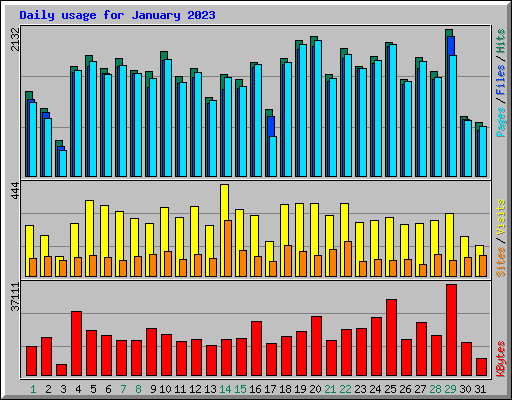 Daily usage for January 2023