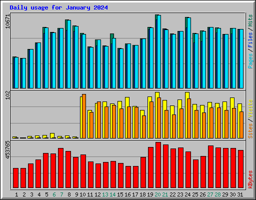 Daily usage for January 2024