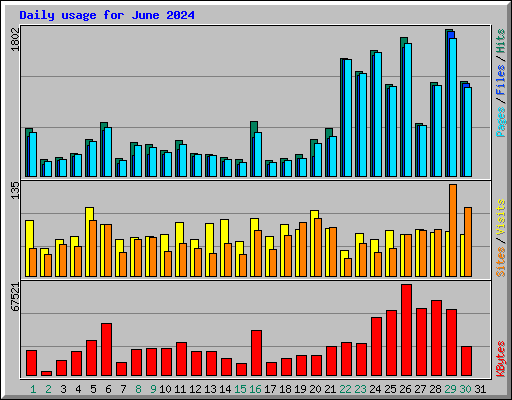 Daily usage for June 2024