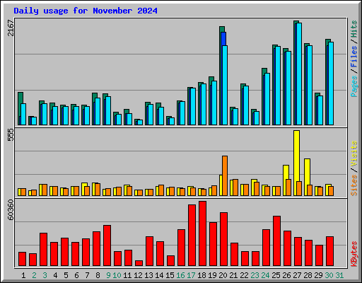 Daily usage for November 2024