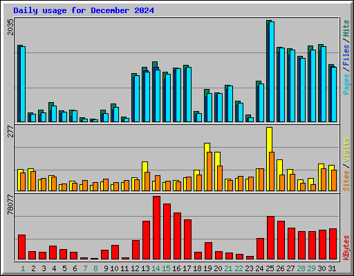 Daily usage for December 2024