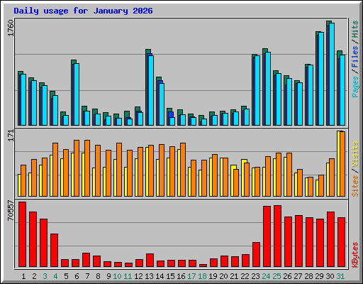Daily usage for January 2026