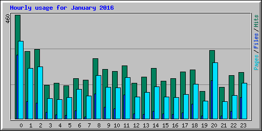 Hourly usage for January 2016