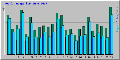 Hourly usage for June 2017