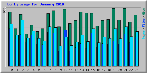 Hourly usage for January 2018