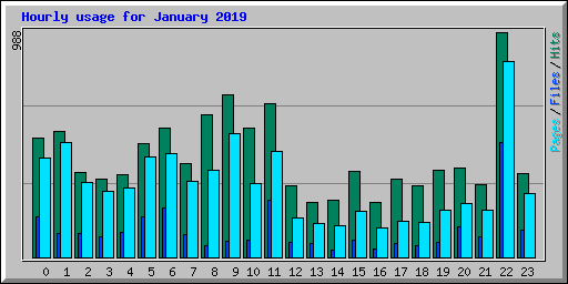 Hourly usage for January 2019
