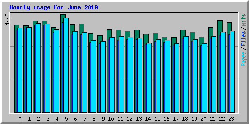 Hourly usage for June 2019