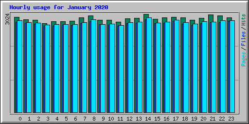 Hourly usage for January 2020