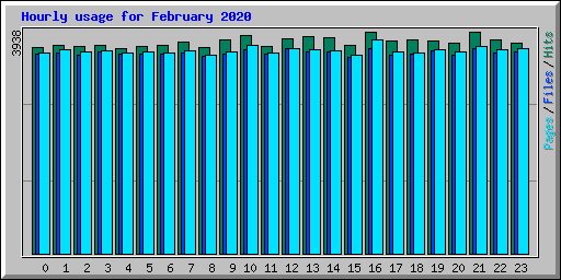 Hourly usage for February 2020