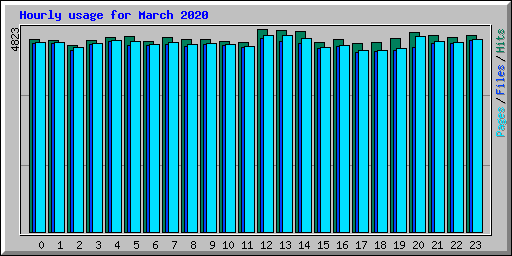 Hourly usage for March 2020