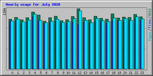 Hourly usage for July 2020