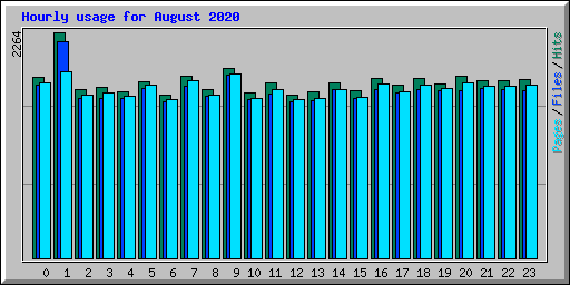 Hourly usage for August 2020