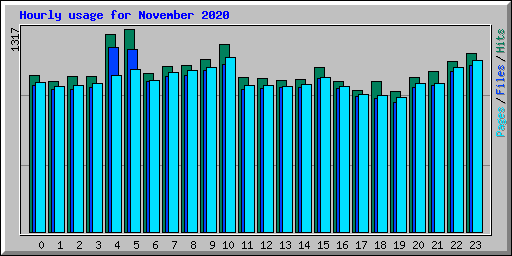 Hourly usage for November 2020