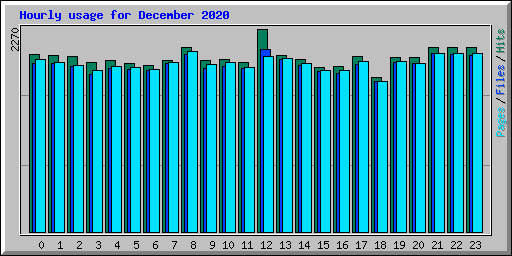 Hourly usage for December 2020