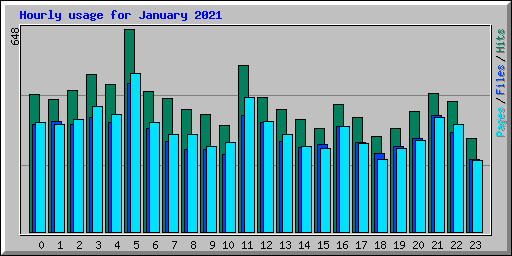 Hourly usage for January 2021