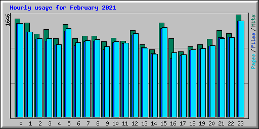 Hourly usage for February 2021