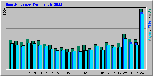 Hourly usage for March 2021