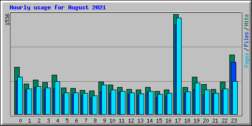 Hourly usage for August 2021