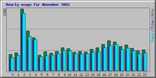 Hourly usage for November 2021