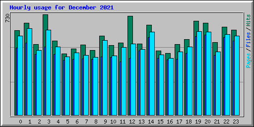 Hourly usage for December 2021