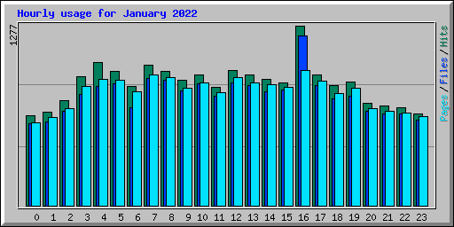 Hourly usage for January 2022