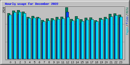 Hourly usage for December 2022