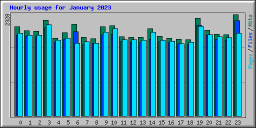 Hourly usage for January 2023