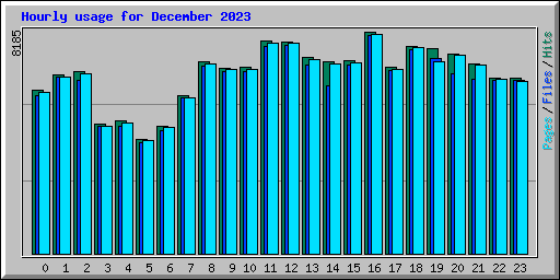 Hourly usage for December 2023