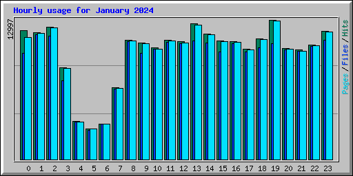 Hourly usage for January 2024