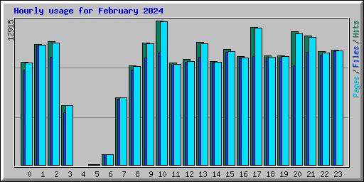 Hourly usage for February 2024