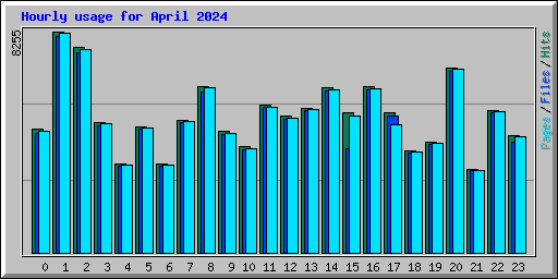 Hourly usage for April 2024