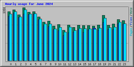 Hourly usage for June 2024