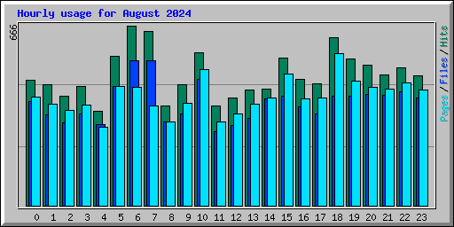 Hourly usage for August 2024