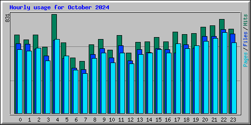 Hourly usage for October 2024