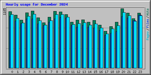 Hourly usage for December 2024