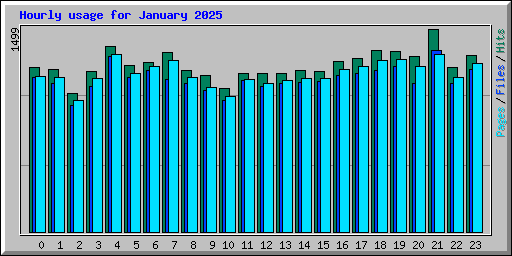 Hourly usage for January 2025