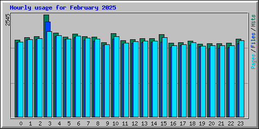 Hourly usage for February 2025