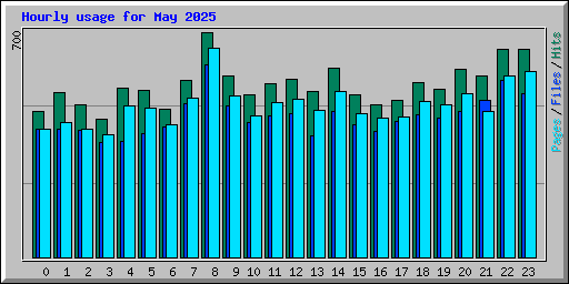 Hourly usage for May 2025