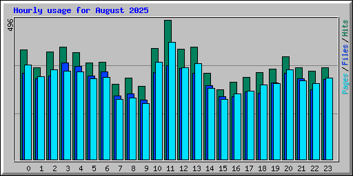 Hourly usage for August 2025