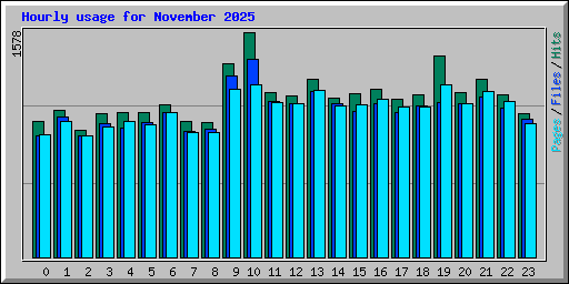 Hourly usage for November 2025