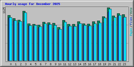 Hourly usage for December 2025