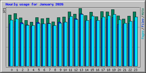 Hourly usage for January 2026